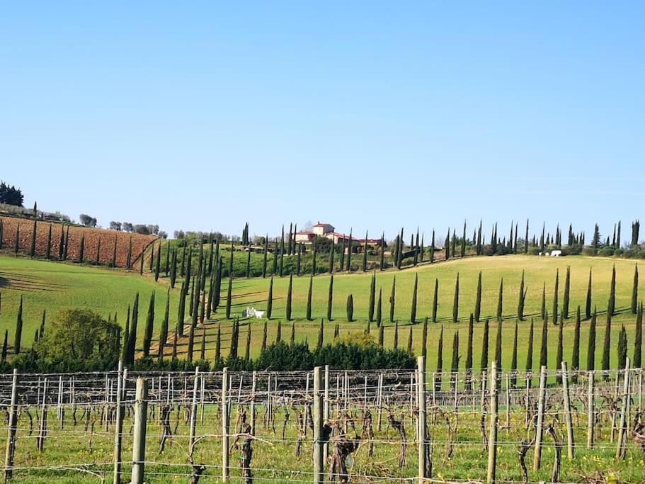Castello Di Fulignano Ottone Superior Apartment San Gimignano Eksteriør bilde